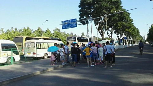 薪资待遇的真相：高薪背后的隐形代价