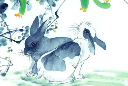 29岁属兔今年运势如何？28年属兔运势分析是什么？