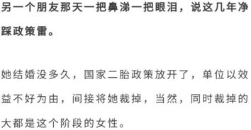 结论和提议