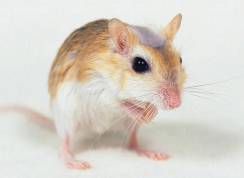 绿植就是印钞机？笑死