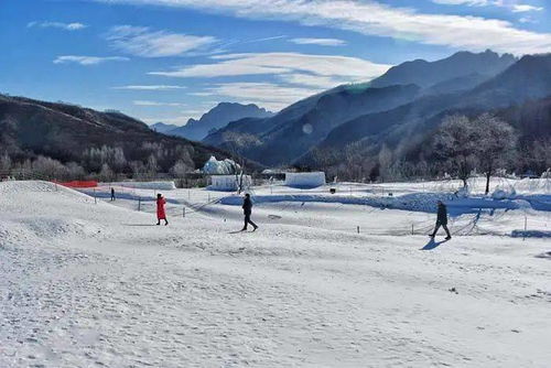 3. 游玩项目：体验被冻僵的感觉