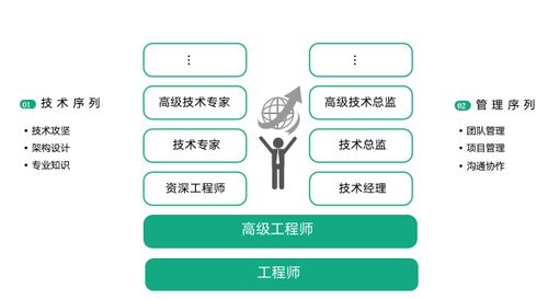 (三) 职业持续发展路径选择框架