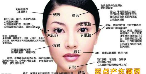 二、 揭秘人脸上有9个疾病区地图及保养方法
