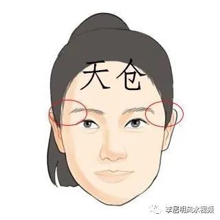 长鼻型性格的稳重与顽固