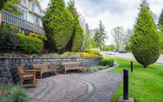 3.3 自然景观与财富象征的文化解读