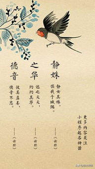从诗词歌赋中汲取灵感