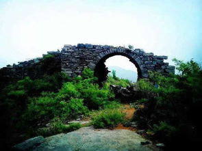 自然风光：老鸦岔的避暑奇迹