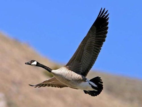 四、姓名与风水——讲究多啊