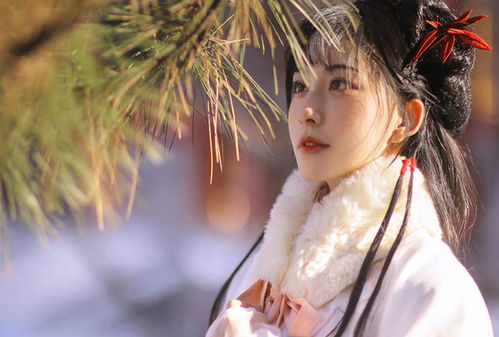 貂蝉出生年份属什么生肖？哪个生肖的人四季都穿皮袄有何特殊含义？