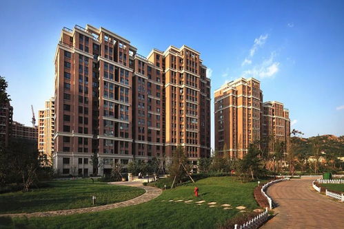 一、  外部环境与地运：能量场的宏观审视