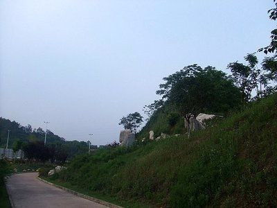 石屏杨梅园旅游攻略路线