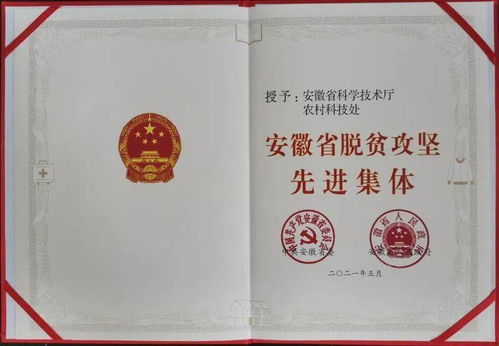 常见命名方案示例