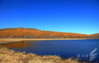 徒步探险：一场与蚊虫的“血战”及迷路惊魂