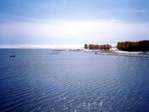 海留图wetland park  门票价格查询——一场说走就走的“钱包大冒险”
