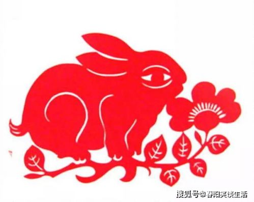 2026年哪些生肖不宜结婚？娶老婆时，有哪些生肖是不宜选择的？