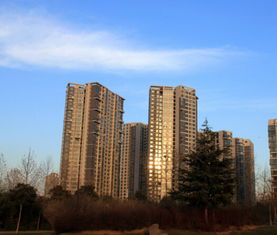 一、  外部环境选址与宏观气场格局的深度剖析