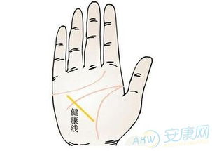 健康线清晰的手相图片，如何判断健康状况？