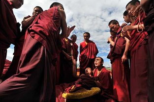 一、 历史渊源与传播路径的差异