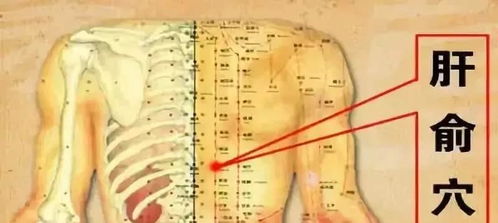 室内气流与生命活力的相互作用
