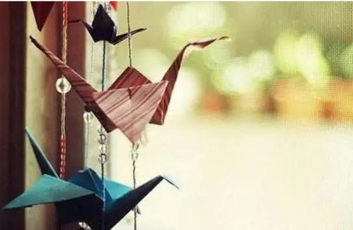 一、  阴阳失衡与空间风水：男性尊严与自由意志的玄学考量