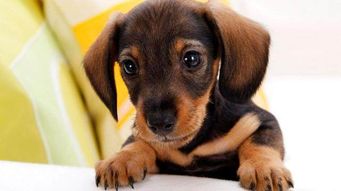 1.1 名字里的五行玄机到底是咋回事？