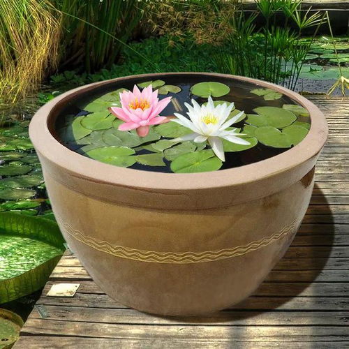 一、 水缸在庭院风水中的功嫩定位及其多重价值体现