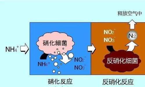 1.2 水火交叉与酉戌对应关系