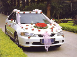 颜色选错直接克死对象？太吓人了！