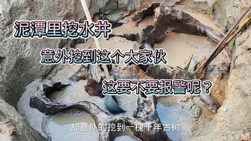 黄道吉日与挖水井的传统方式