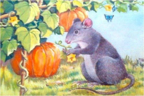 1984年属鼠男性2026年感情婚姻运势如何？1984年属鼠女性2026年婚姻运势怎样？