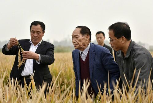 事件起因与初步留意