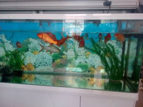 2.2 视觉刺激与认知功能锻炼