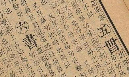 第一步：确定风格（染后疯狂纠结）