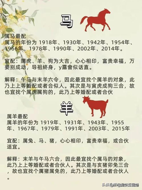四、 实证案例及其启示