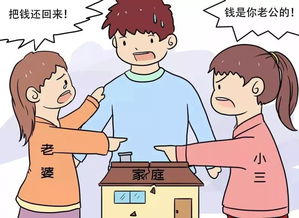 1. 财务独立作为防护机制
