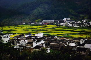 婺源：被高估的旅游陷阱？