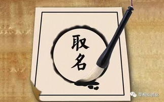 一些不靠谱的建议