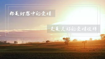 1) 情感需求与自我保障机制