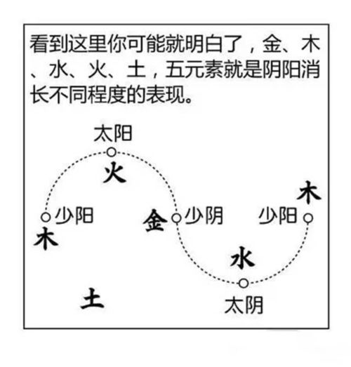八字五行查询的系统步骤