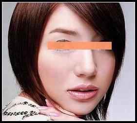 研究概述与理论框架