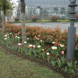 园内消费——坑中还有坑