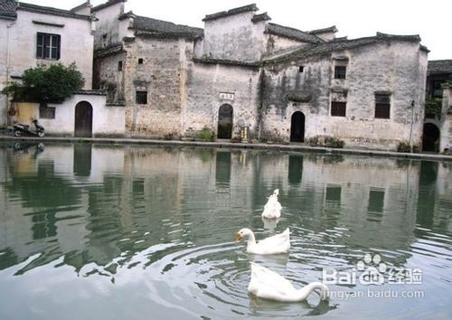 出发前的天真幻想