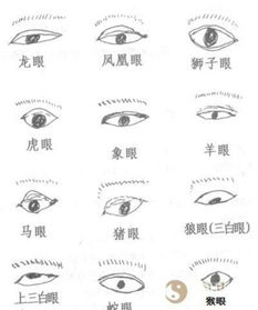 五、眼睛清澈：坚守原则与积极乐观