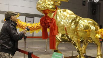 第三劫：46岁家宅考验