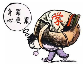 4. 学业与考试压力