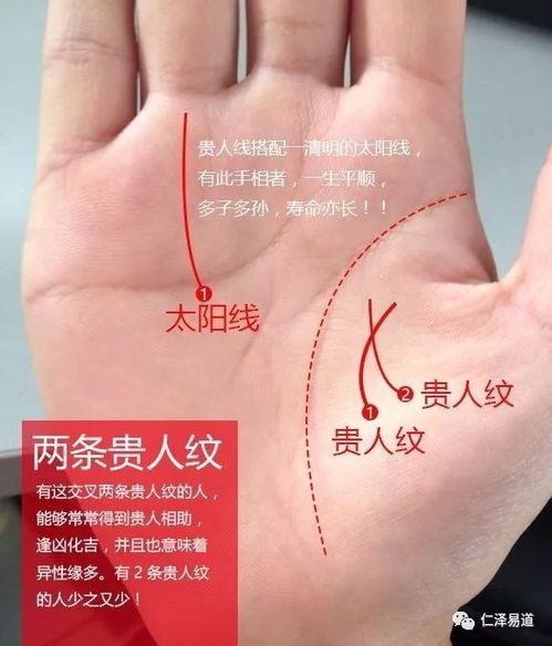 一、 手相研究的理论前提与方法论基础