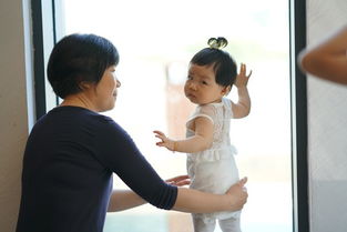 真实案例：用户亲历的亲子游故事