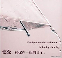 一、 “断章取义”式命名