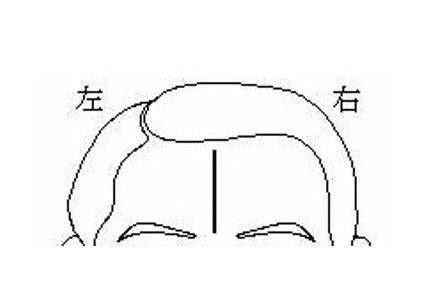 口唇及额头（天庭）之象征意义
