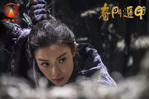 2．柔薄弱制敌——“柔性调和”方法